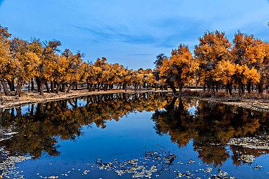 小岛秀夫已构思出《死亡搁浅3》概念 但换他人开发